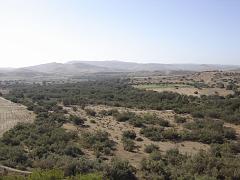 ROUTE ENTRE SAIDA MASCARA SEPTEMBRE 2006 03